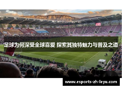 足球为何深受全球喜爱 探索其独特魅力与普及之道