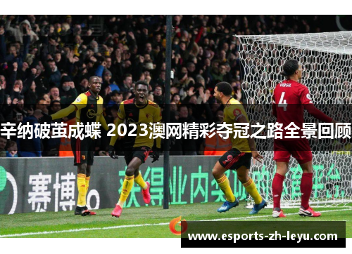 辛纳破茧成蝶 2023澳网精彩夺冠之路全景回顾