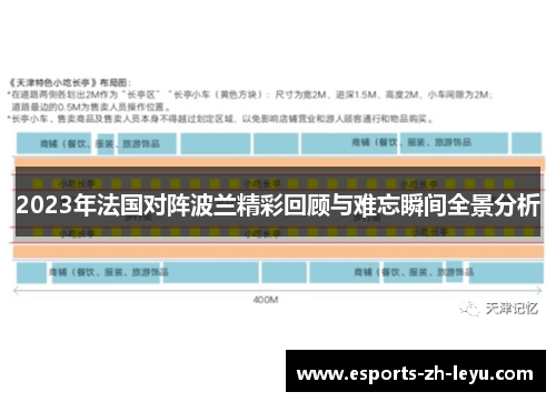 2023年法国对阵波兰精彩回顾与难忘瞬间全景分析