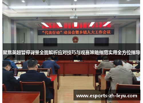 聚焦英超暂停背景全面解析应对技巧与观赛策略指南实用全方位指导 聚焦英超暂停背景全面解析应对技巧与观赛策略指南实用全方位指导