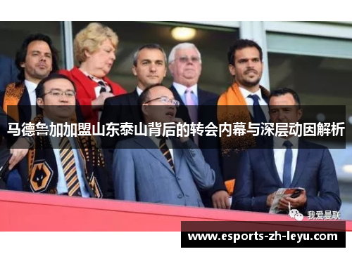 马德鲁加加盟山东泰山背后的转会内幕与深层动因解析
