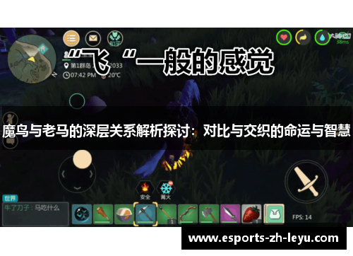 魔鸟与老马的深层关系解析探讨:对比与交织的命运与智慧 魔鸟与老马的深层关系解析探讨:对比与交织的命运与智慧