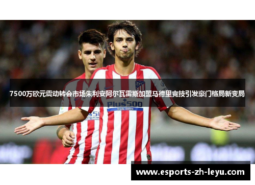 7500万欧元震动转会市场朱利安阿尔瓦雷斯加盟马德里竞技引发豪门格局新变局 7500万欧元震动转会市场朱利安阿尔瓦雷斯加盟马德里竞技引发豪门格局新变局