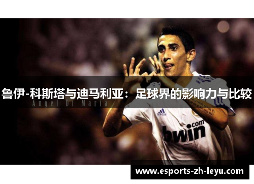 鲁伊-科斯塔与迪马利亚：足球界的影响力与比较